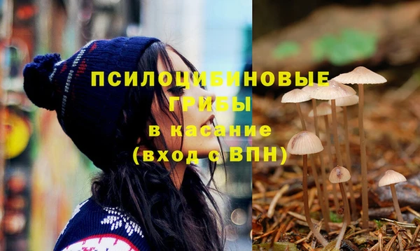 хмурый Медвежьегорск