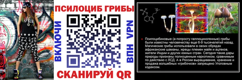 Галлюциногенные грибы GOLDEN TEACHER  Купить где  Архангельск 
