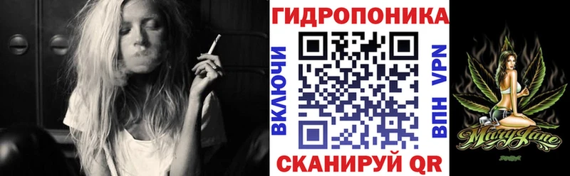 Бошки марихуана Bruce Banner  Купить где  Архангельск 